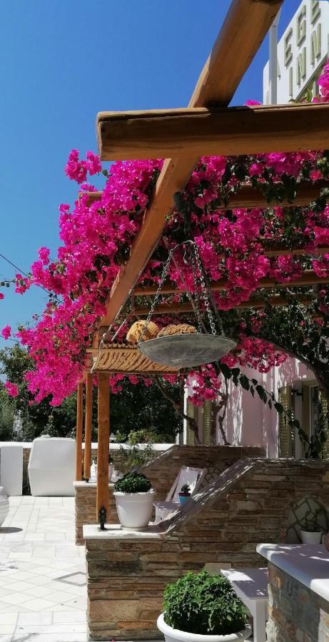Aegeo Inn Antiparos ciudad Exterior foto