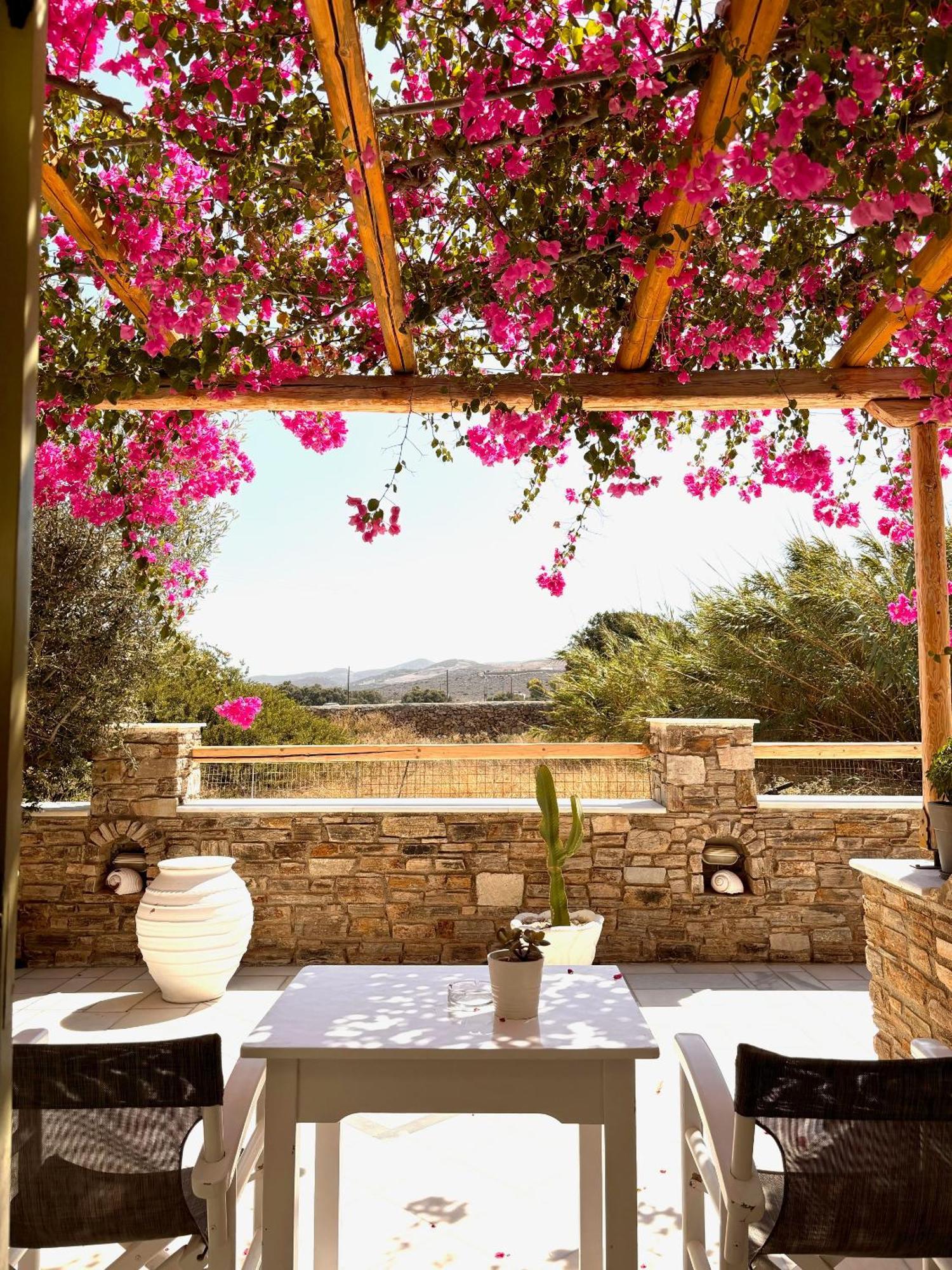 Aegeo Inn Antiparos ciudad Exterior foto